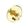 Newport Brass Muncy: Balanced Pressure Tub & Shower Diverter Plate with Handle. Less Showerhead, arm and flange.