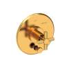 Newport Brass Muncy: Balanced Pressure Tub & Shower Diverter Plate with Handle. Less Showerhead, arm and flange.