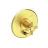 Newport Brass Muncy: Balanced Pressure Tub & Shower Diverter Plate with Handle. Less Showerhead, arm and flange.