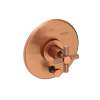 Newport Brass Muncy: Balanced Pressure Tub & Shower Diverter Plate with Handle. Less Showerhead, arm and flange.