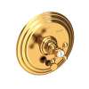 Newport Brass Astor(R): Balanced Pressure Tub & Shower Diverter Plate with Handle. Less Showerhead, arm and flange.
