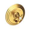 Newport Brass Astor(R): Balanced Pressure Tub & Shower Diverter Plate with Handle. Less Showerhead, arm and flange.