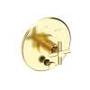 Newport Brass East Linear(R): Balanced Pressure Tub & Shower Diverter Plate with Handle. Less Showerhead, arm and flange.