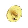 Newport Brass East Linear(R): Balanced Pressure Tub & Shower Diverter Plate with Handle. Less Showerhead, arm and flange.