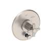 Newport Brass East Linear(R): Balanced Pressure Tub & Shower Diverter Plate with Handle. Less Showerhead, arm and flange.