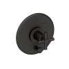 Newport Brass East Linear(R): Balanced Pressure Tub & Shower Diverter Plate with Handle. Less Showerhead, arm and flange.