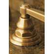 Newport Brass Astor(R): Widespread Lavatory Faucet