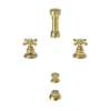Newport Brass Astor(R): Bidet Set