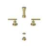 Newport Brass East Linear(R): Bidet Set