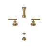 Newport Brass East Linear(R): Bidet Set