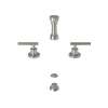 Newport Brass East Linear(R): Bidet Set