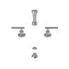 Newport Brass East Linear(R): Bidet Set