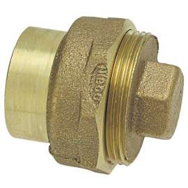 816 2 in. x 2 in. DWV Fitting Cleanout Ftg x Cleanout w/Plug - Cast, E169200