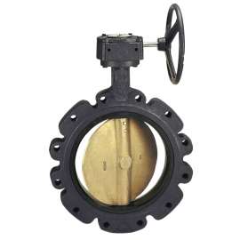 LD-2010-0 2 in. Butterfly Valve - Ductile Iron, 200 PSI, EPDM Seat, NLG760D