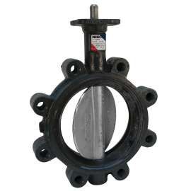 LD-L010-0 5 in. Butterfly Valve - Ductile Iron, Lug Type, 100 PSI, Actuated, NLG182J