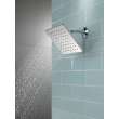 Peerless Universal Showering Components: 1-Setting Shower Head, 76157