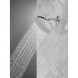Peerless Universal Showering Components: 1-Setting Shower Head, 76167