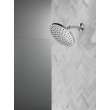 Peerless Universal Showering Components: 1-Setting Shower Head, 76167