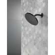 Peerless Universal Showering Components: 1-Setting Shower Head, 76167BL