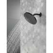 Peerless Universal Showering Components: 1-Setting Shower Head, 76167BL
