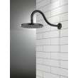 Peerless Universal Showering Components: 1-Setting Shower Head, 76167BL