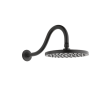 Peerless Universal Showering Components: 1-Setting Shower Head, 76167BL