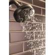 Peerless Universal Showering Components: 5-Setting Shower Head, 76549BL