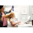 Peerless Xander(R): Single-Handle High-Arc Lavatory Faucet, P1519LF-BL-HA