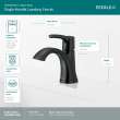 Peerless Parkwood(R): Single Handle Lavatory Faucet, P1535LF-BL