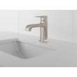 Peerless Ezra(R): Single-Handle Curved Spout Lavatory Faucet, P1573LF-BN