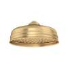 8" Rain Showerhead, U.5205SEG