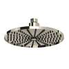 8" Rain Showerhead, U.5235PN