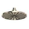 8" Rain Showerhead, U.5235STN