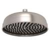 8" Rain Showerhead, U.5260STN