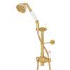 Riser Diverter, Handshower, Handshower Holder, Hose and 8" Thermostatic Outlet, U.5373NEG