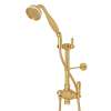 Riser Diverter, Handshower, Handshower Holder, Hose and 8" Thermostatic Outlet, U.5373NLS-EG