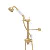 Riser Diverter, Handshower, Handshower Holder, Hose and 8" Thermostatic Outlet, U.5373NSEG