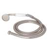 Handshower And Hose, U.5387STN