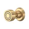 Single Function Body Spray, U.5570SEG