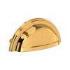 Shell Drawer Pull Handles - Set of 5, U.6055EG