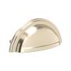 Shell Drawer Pull Handles - Set of 5, U.6055STN