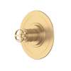 Armstrong(TM) 3/4" Thermostatic Trim Without Volume Control, U.TAR13W1IWSEG
