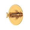 Armstrong(TM) 3/4" Thermostatic Trim Without Volume Control, U.TAR13W1XMEG