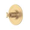 Armstrong(TM) 3/4" Thermostatic Trim Without Volume Control, U.TAR13W1XMSEG