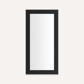 Main Line Cabinet, 20" x 40" x 4", Merion Frame, Brushed Black, Electric Upgrade