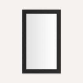 Main Line Cabinet, 24" x 40" x 4", Merion Frame, Brushed Black