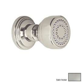 Single Function Body Spray in Satin Nickel