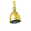 Multi Function Shower Head in English Gold