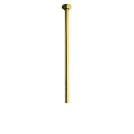 24in Ceiling Mounted Arm in Inca Brass