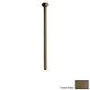 24in Ceiling Mounted Arm in Tuscan Brass